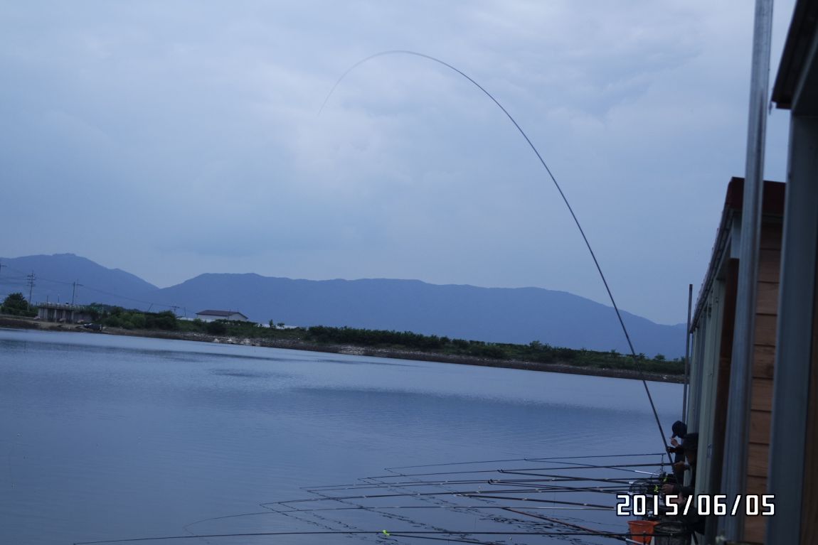 6��5�� 019.JPG