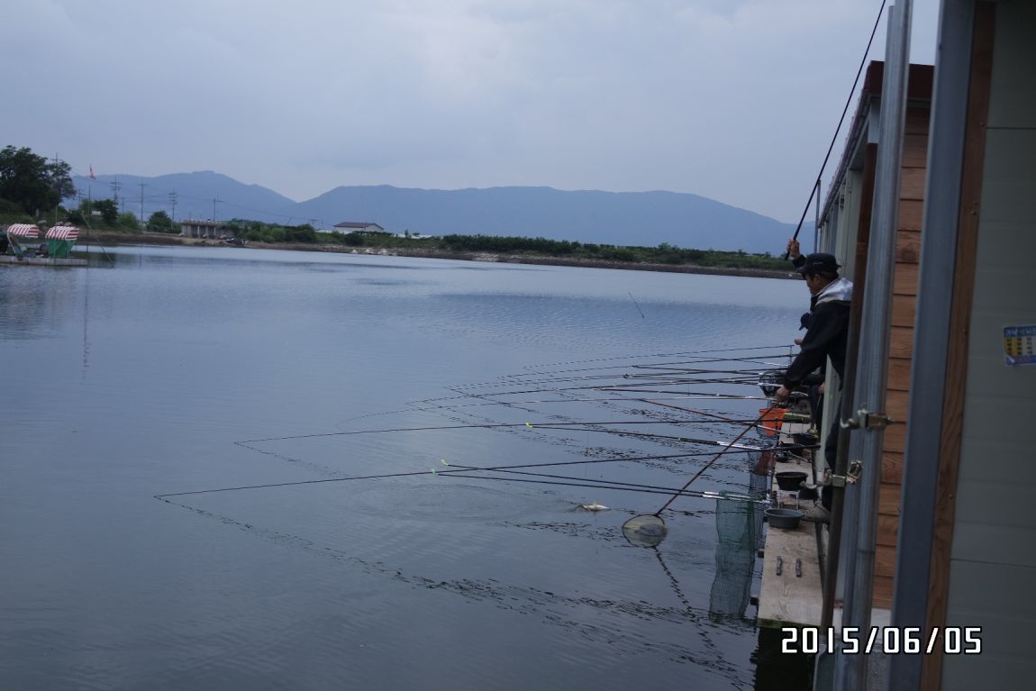 6��5�� 020.JPG