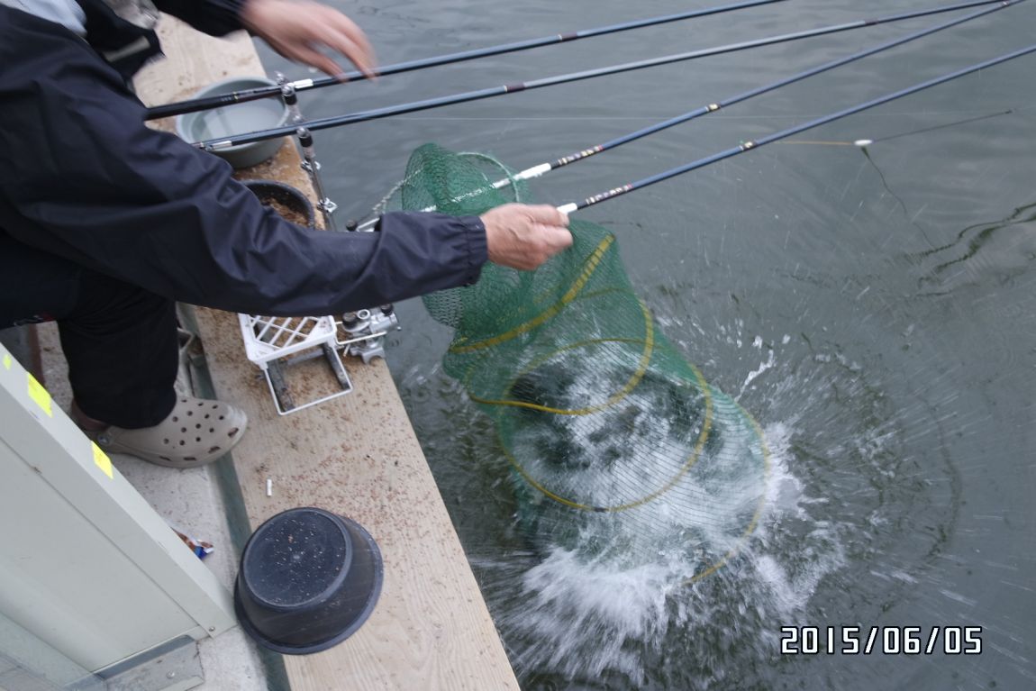 6��5�� 023.JPG