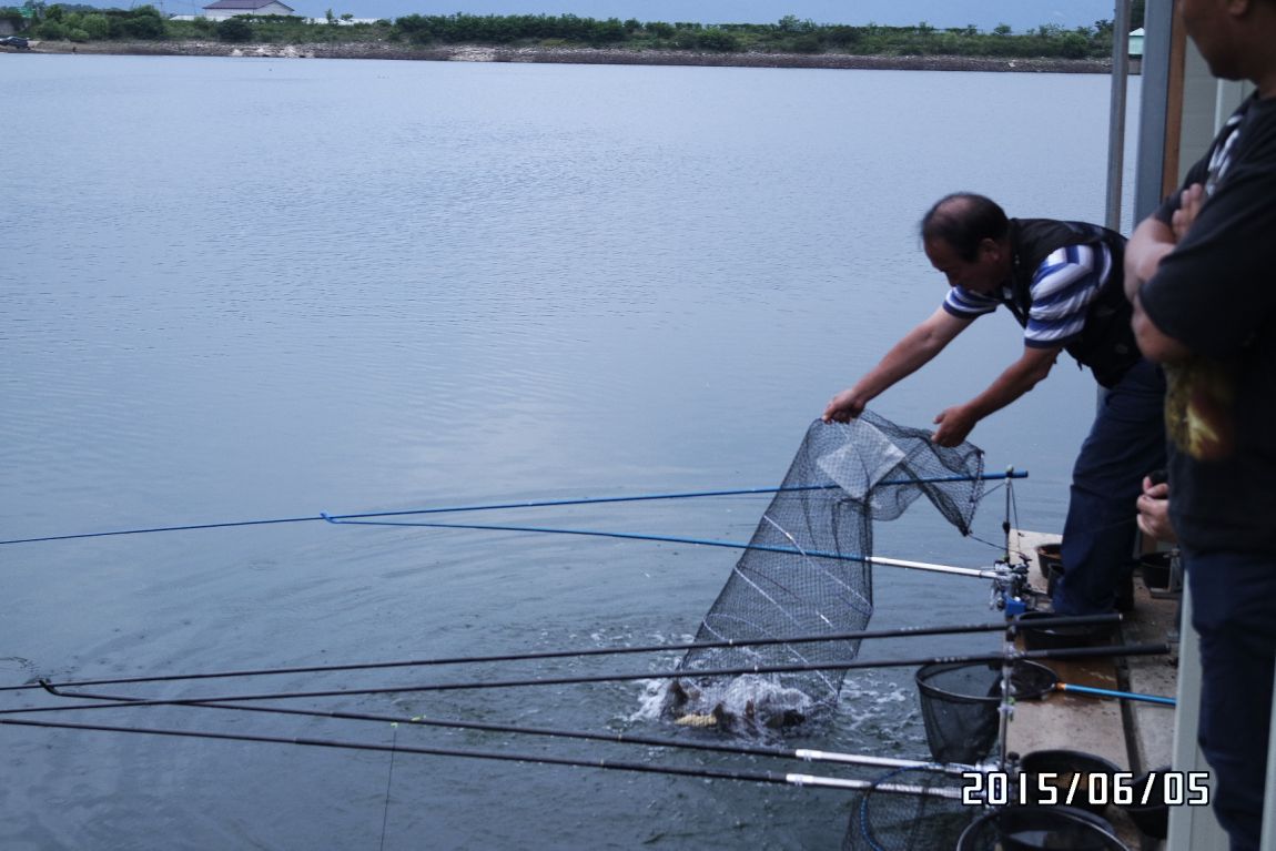 6��5�� 027.JPG