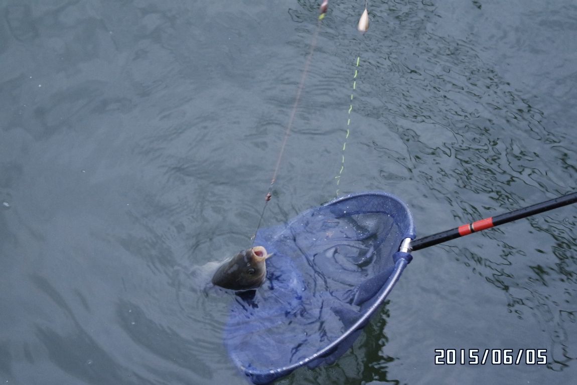 6��5�� 028.JPG