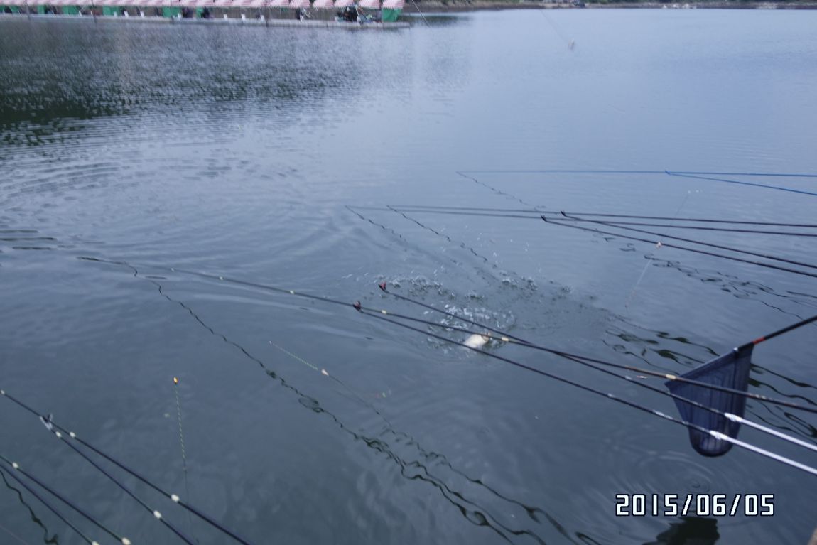 6��5�� 029.JPG