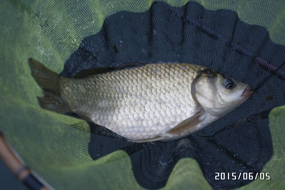 6��5�� 037.JPG