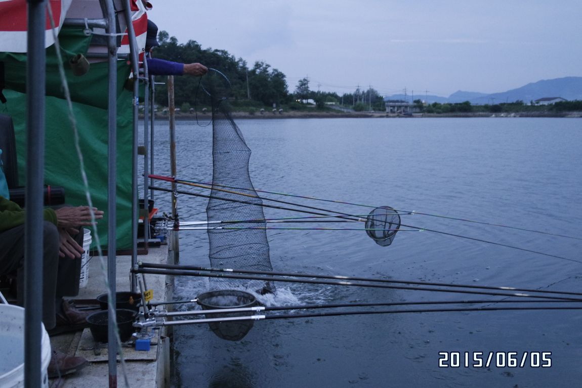 6��5�� 039.JPG