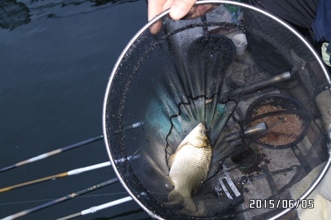 6��5�� 042.JPG