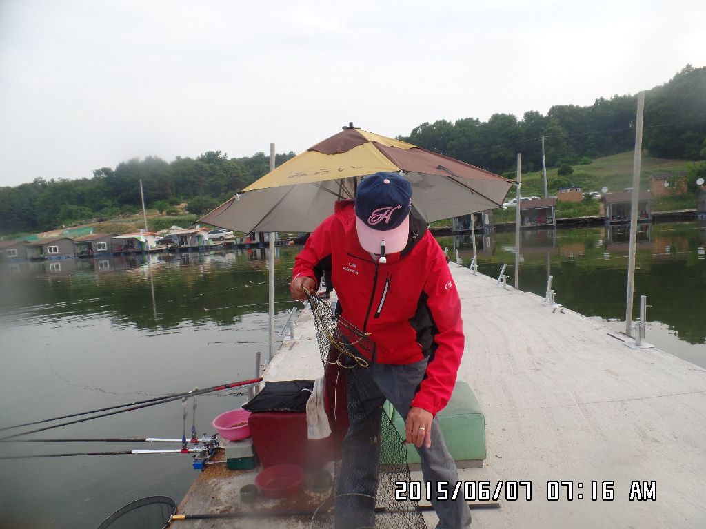 SAM_6707.JPG