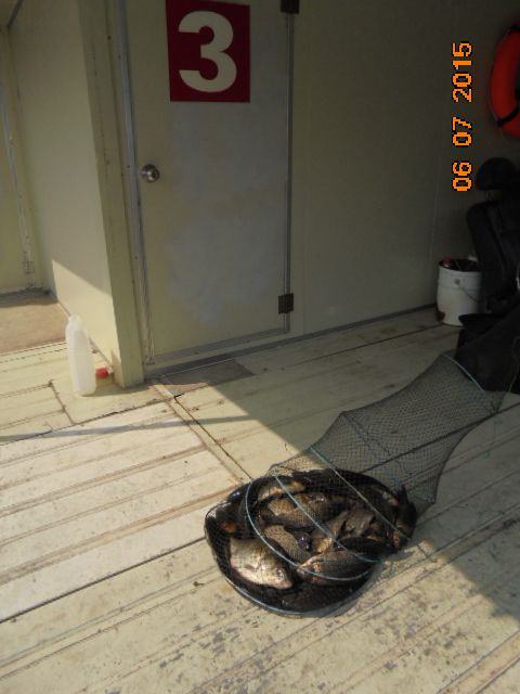 DSC02099.JPG