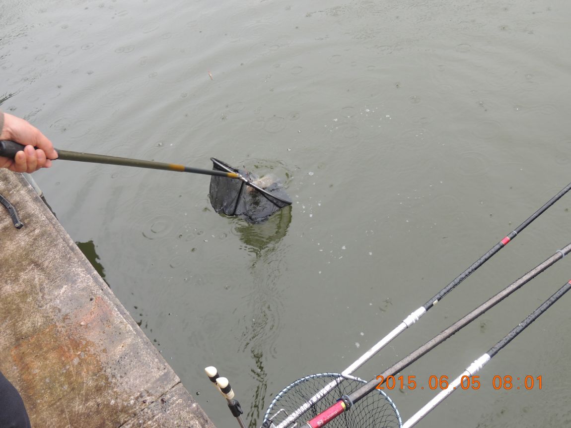DSCN6625.JPG
