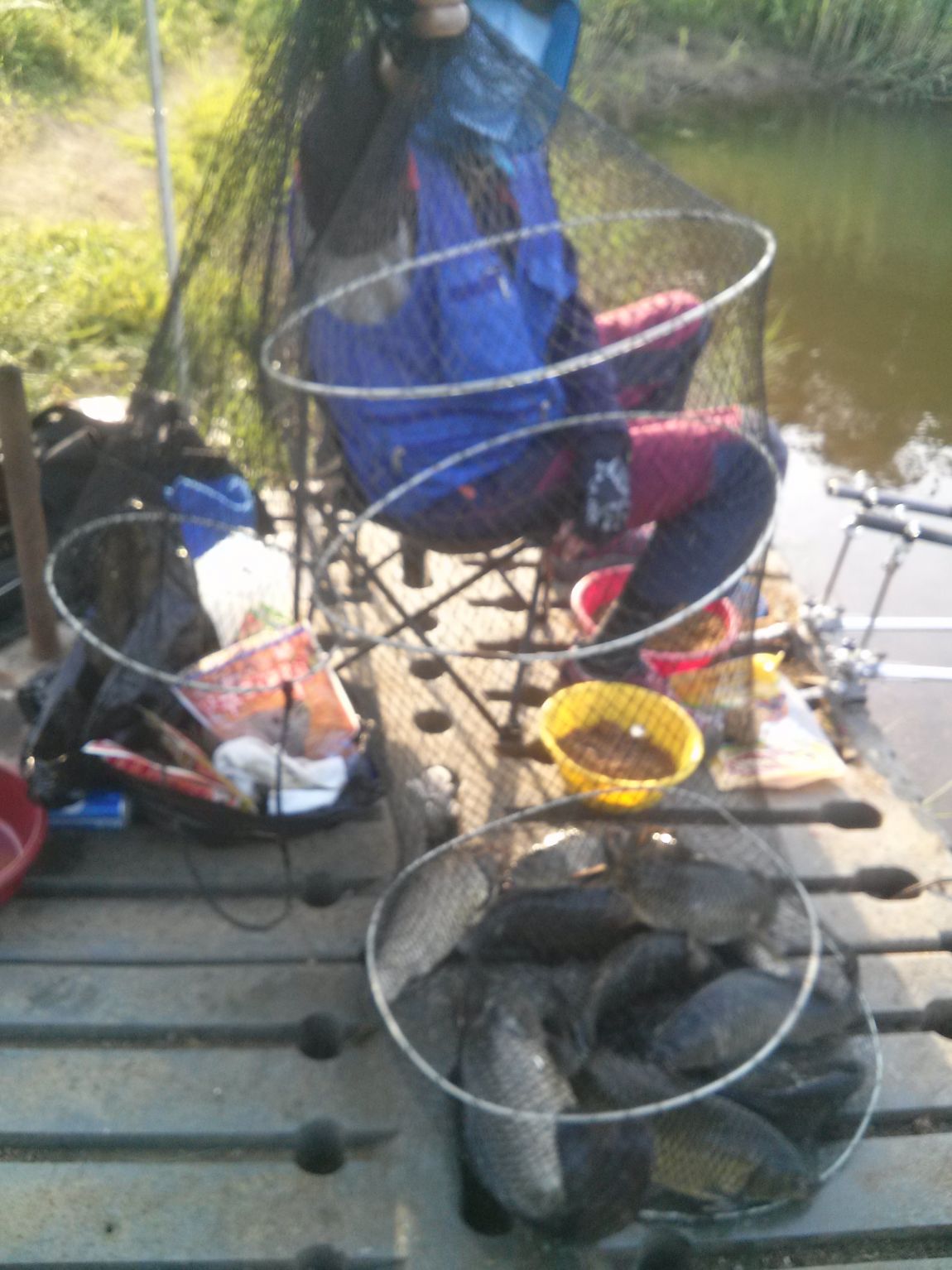 CAM05811.jpg