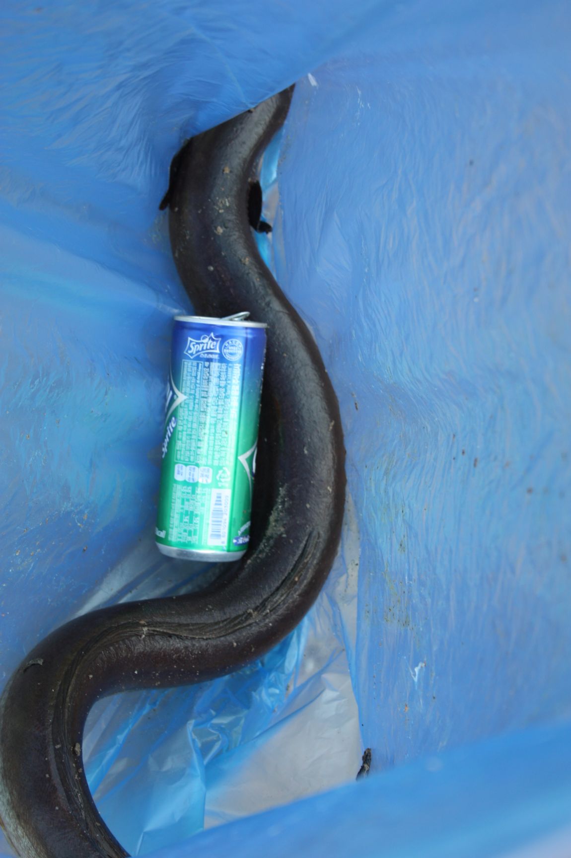 6��7�� 021.JPG