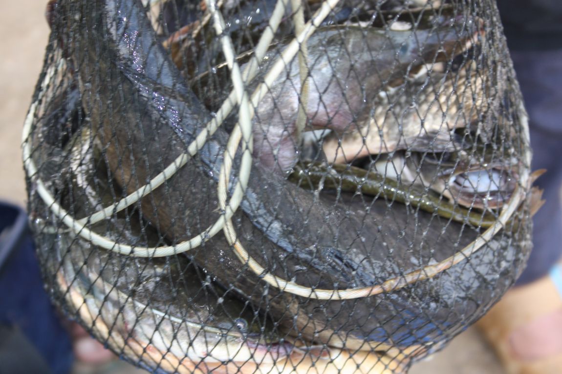 6��7�� 023.JPG