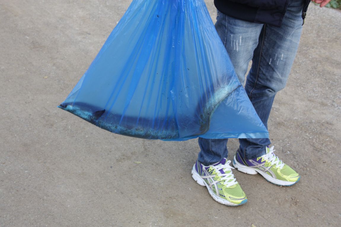 6��7�� 027.JPG