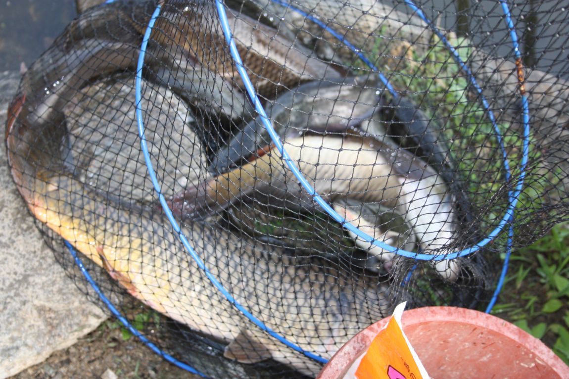 6��7�� 031.JPG