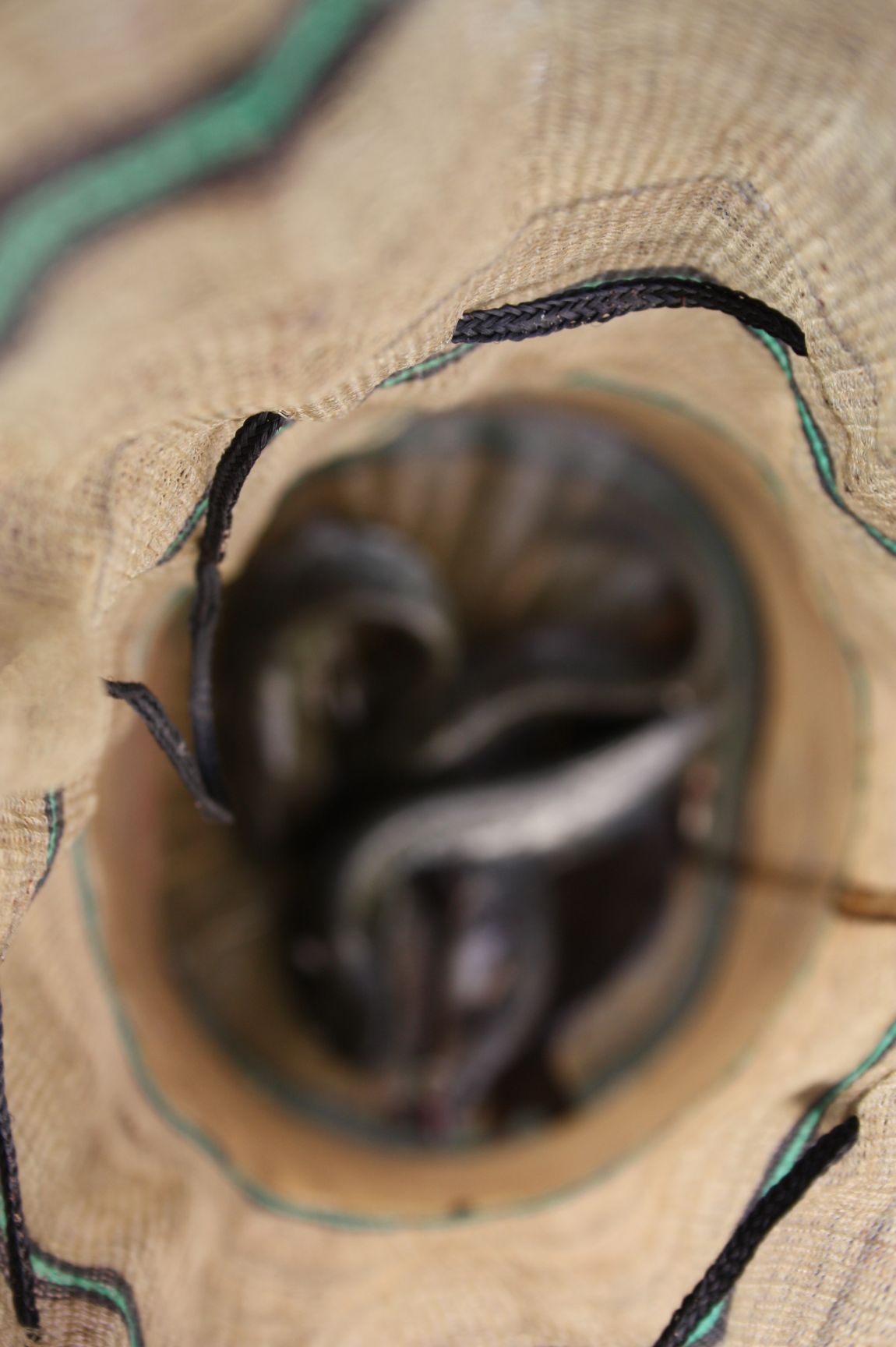 6��7�� 032.JPG