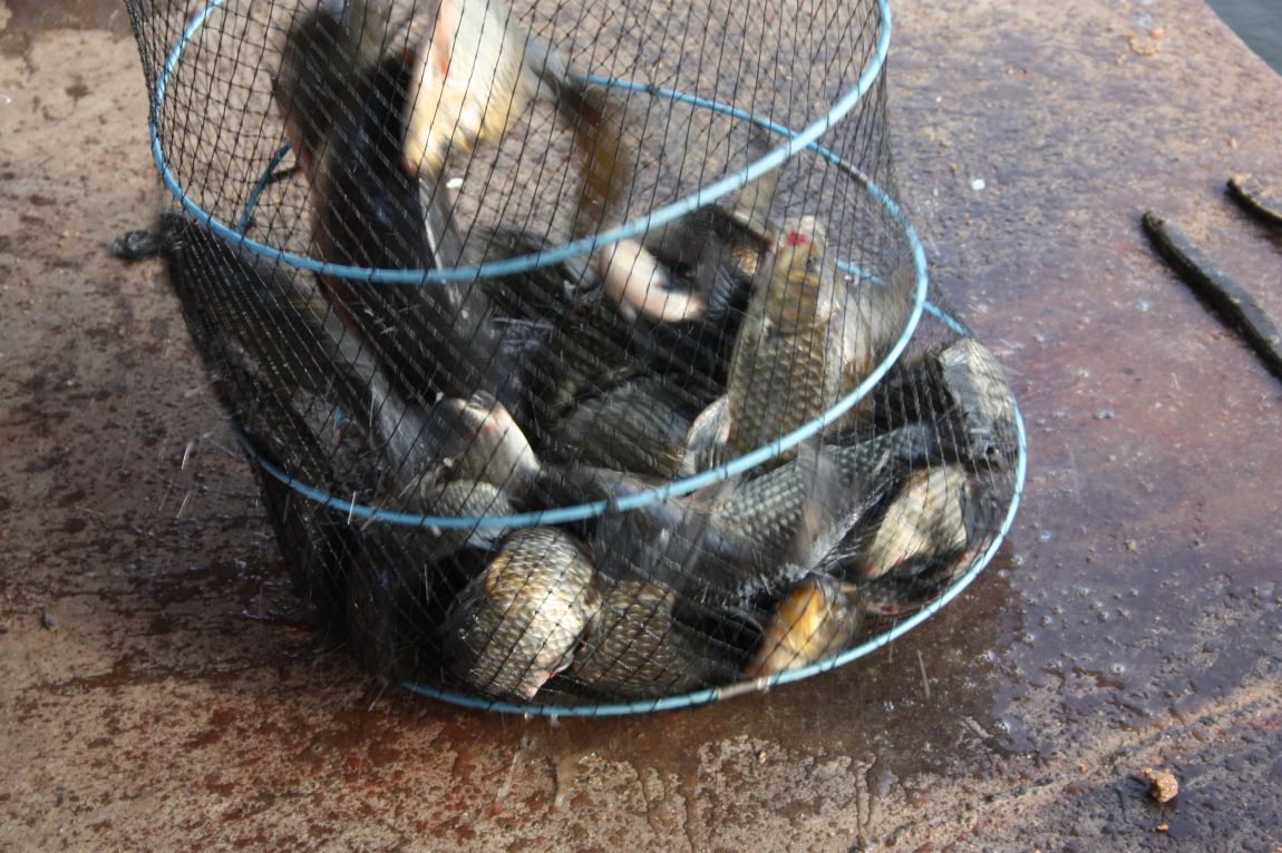 6��7�� 036.JPG