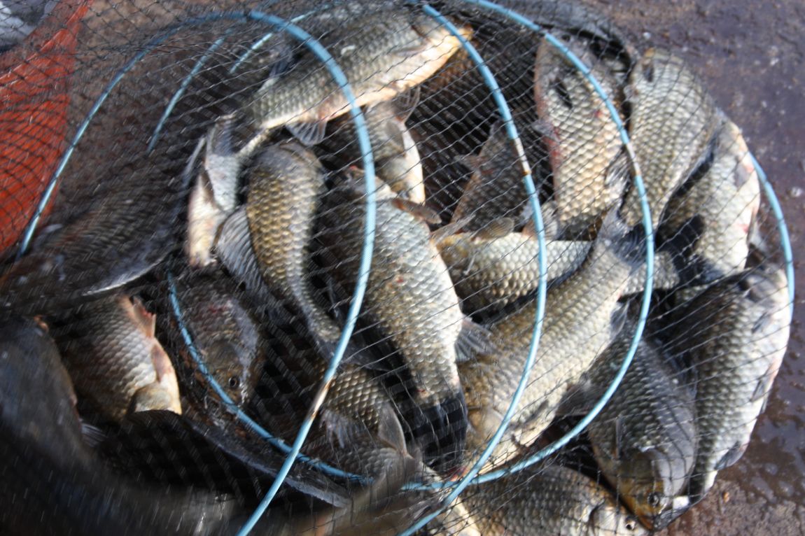 6��7�� 037.JPG