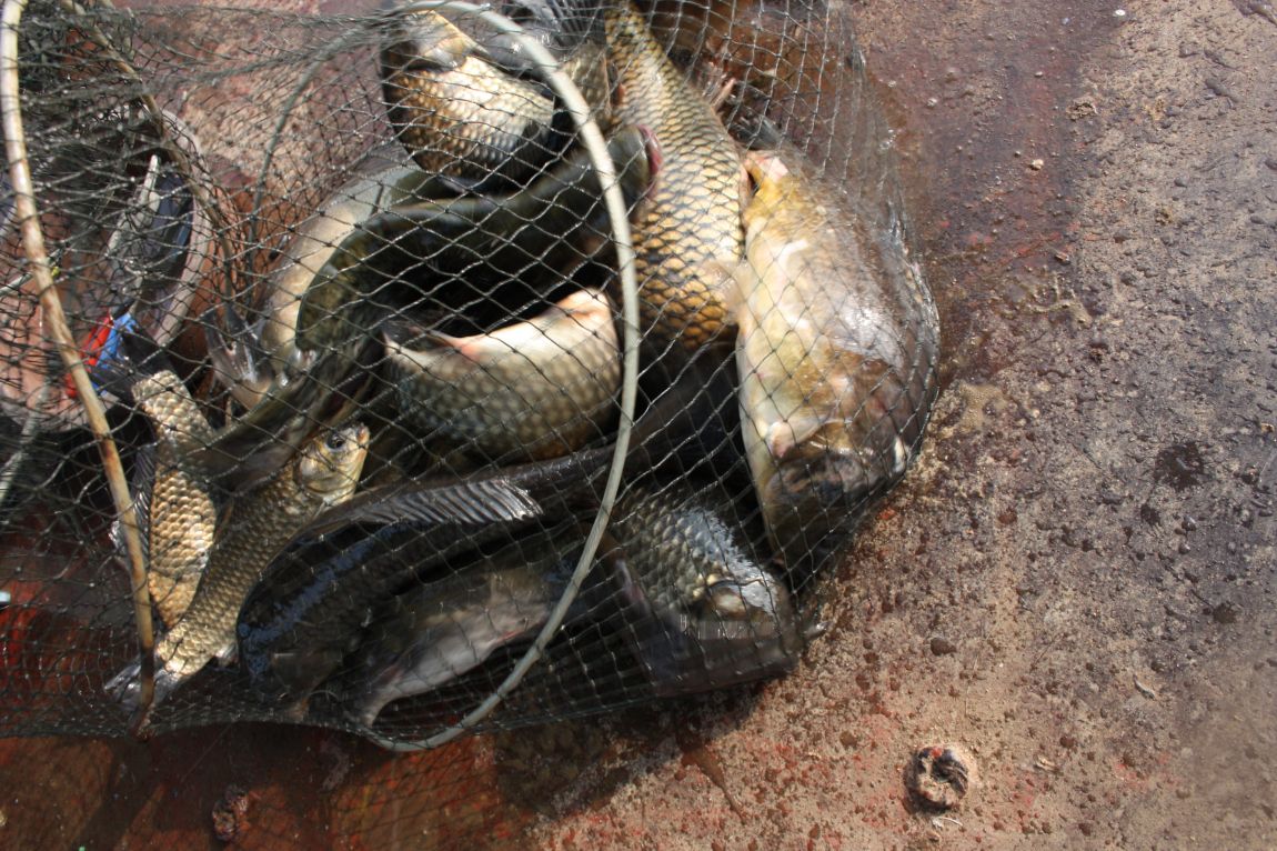 6��7�� 042.JPG