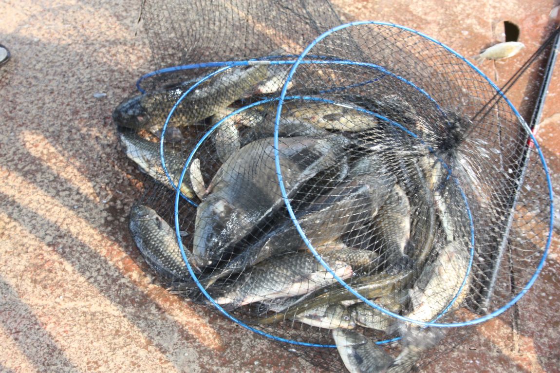 6��7�� 046.JPG