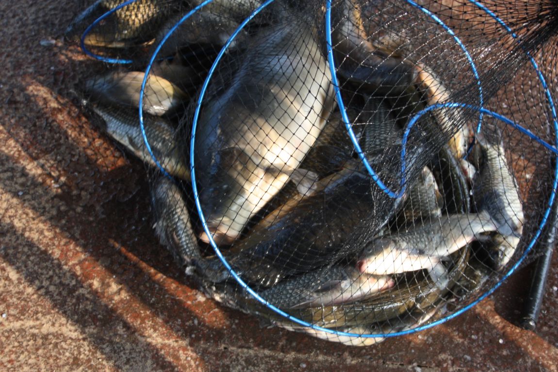 6��7�� 048.JPG