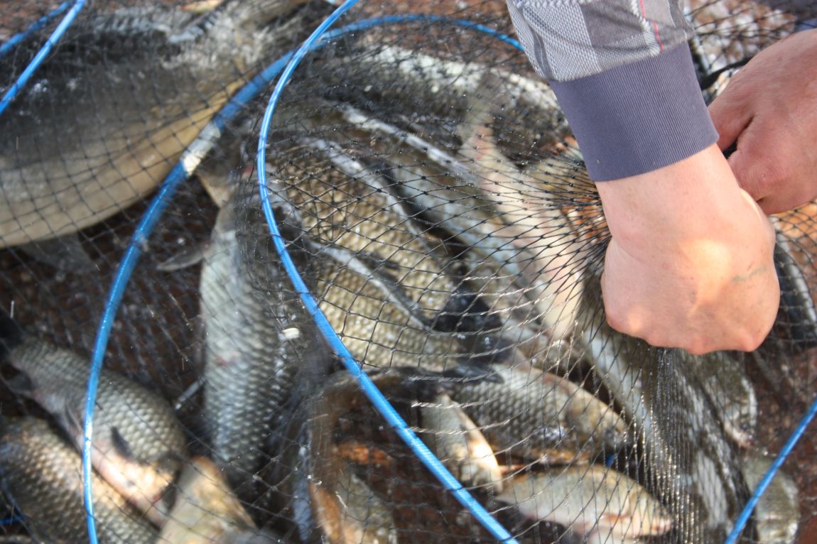 6��7�� 052.JPG