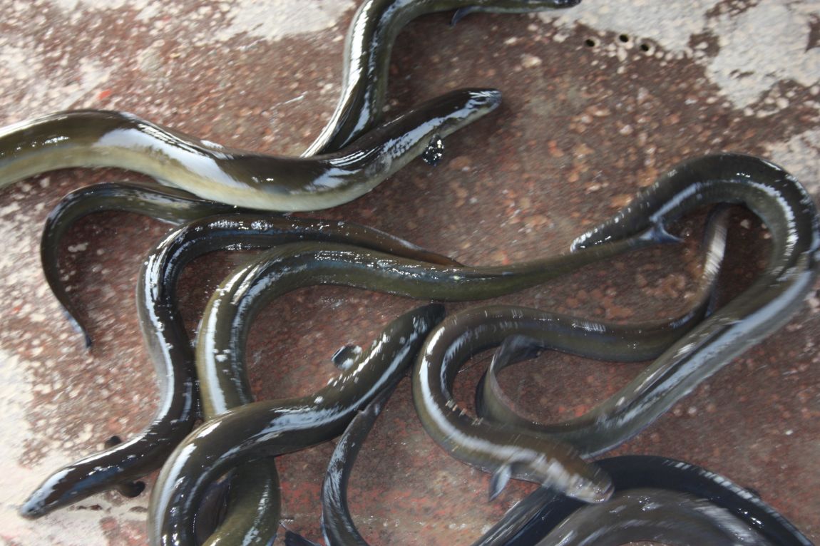 6��7�� 175.JPG