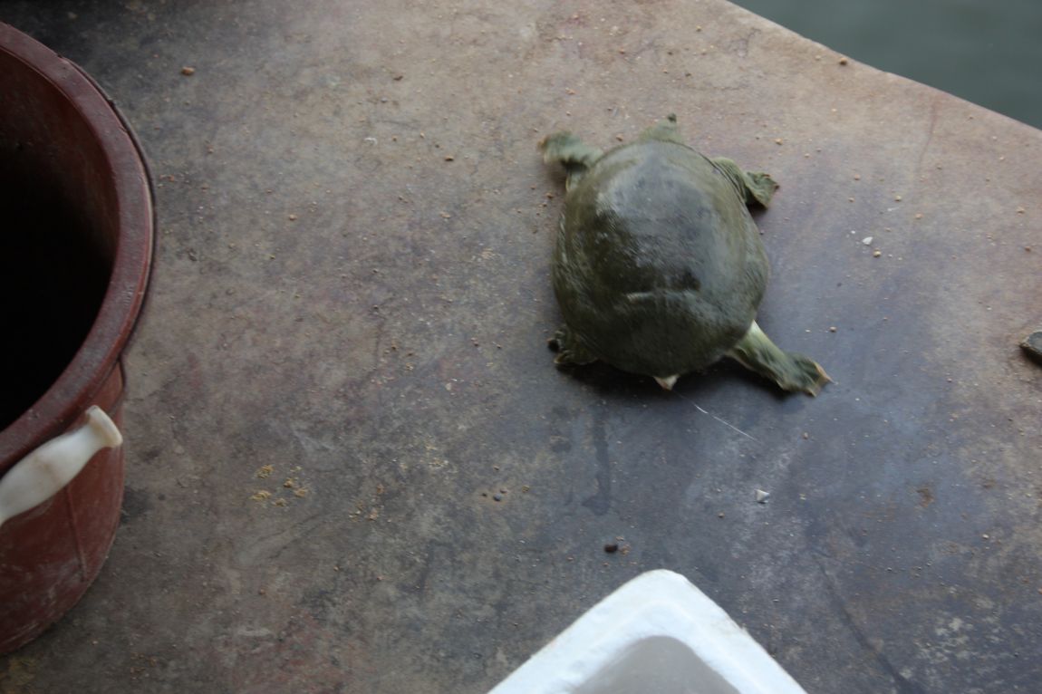 6��7�� 178.JPG