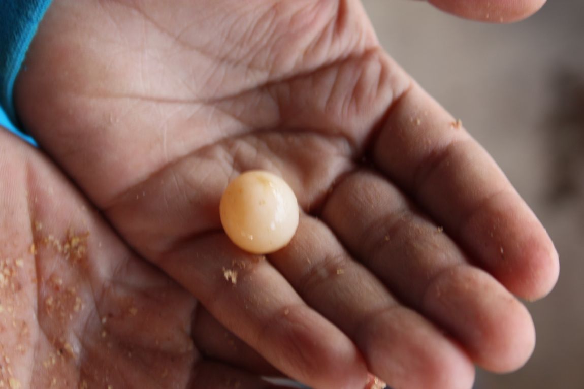 6��7�� 179.JPG