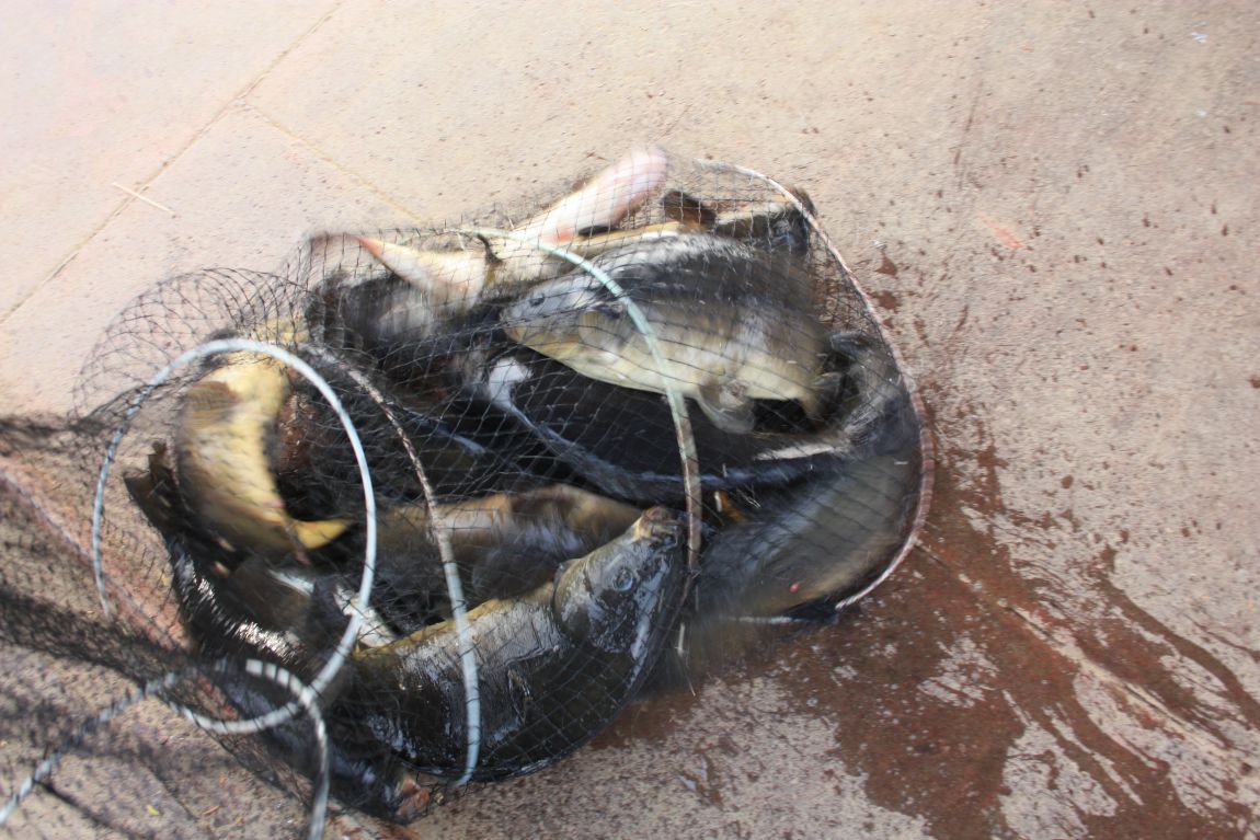 6��7�� 215.JPG