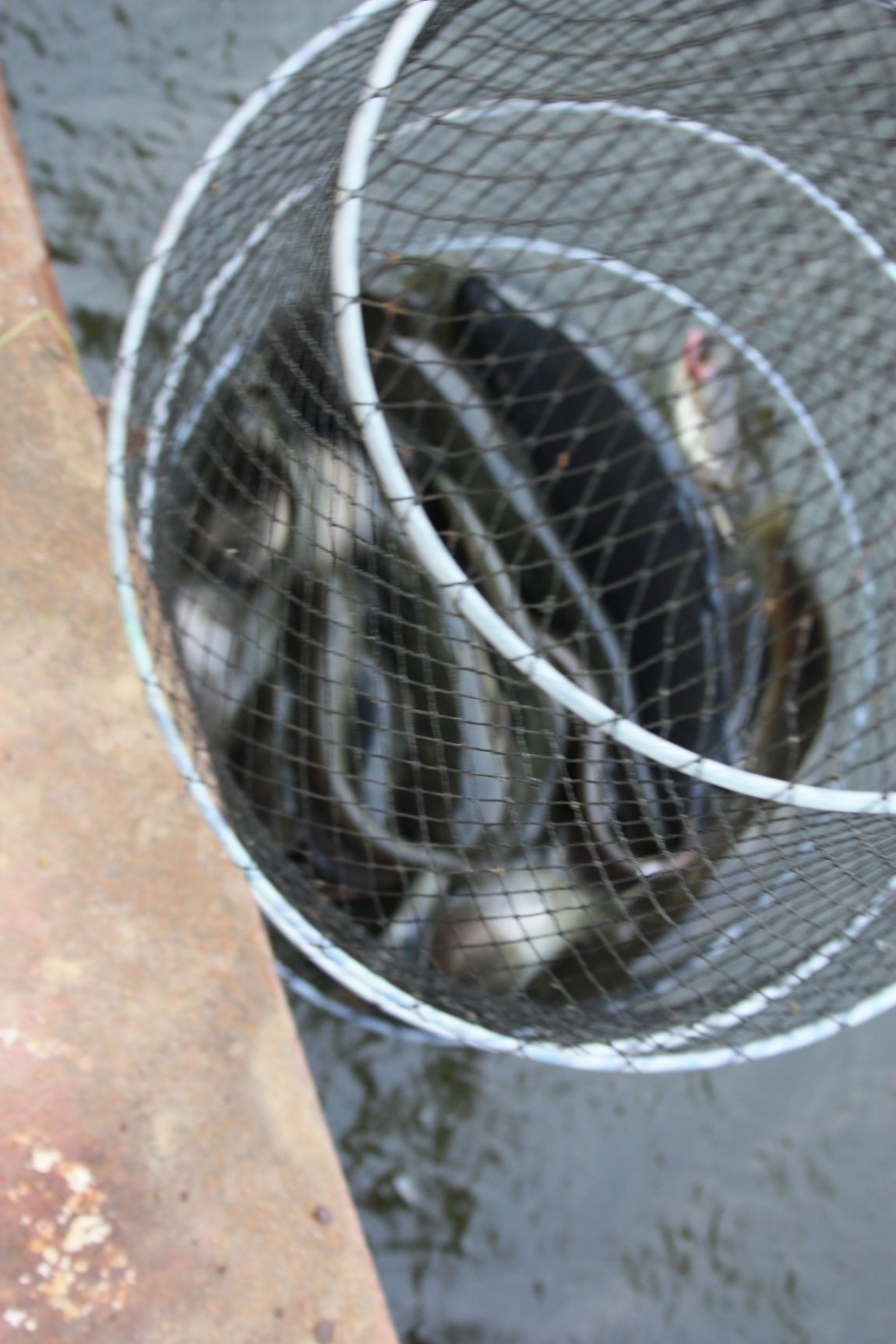 6��7�� 217.JPG