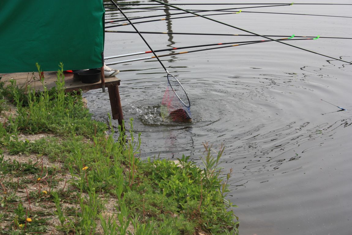 6��7�� 224.JPG