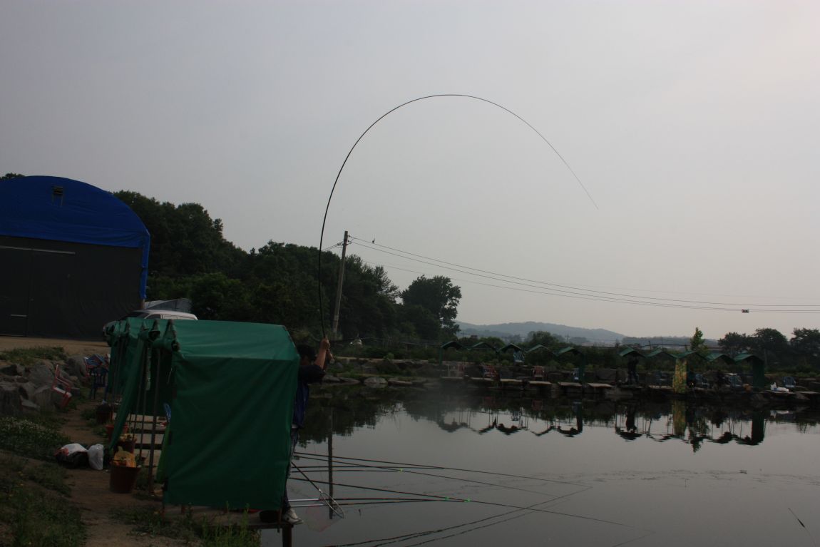 6��7�� 223.JPG