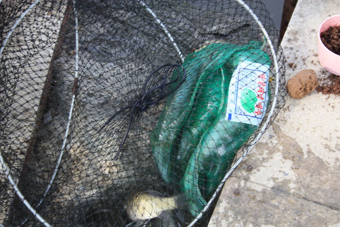 6��7�� 228.JPG