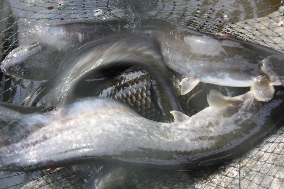 6��7�� 226.JPG