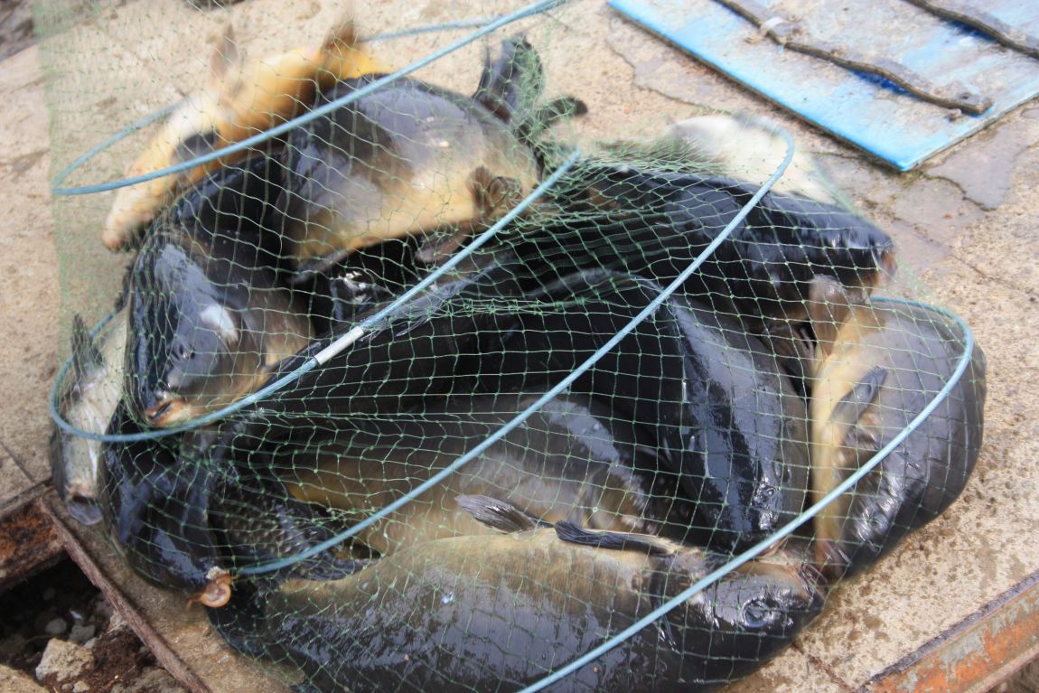 6��7�� 230.JPG