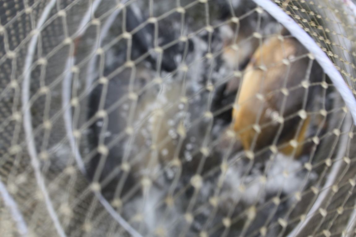 6��7�� 236.JPG