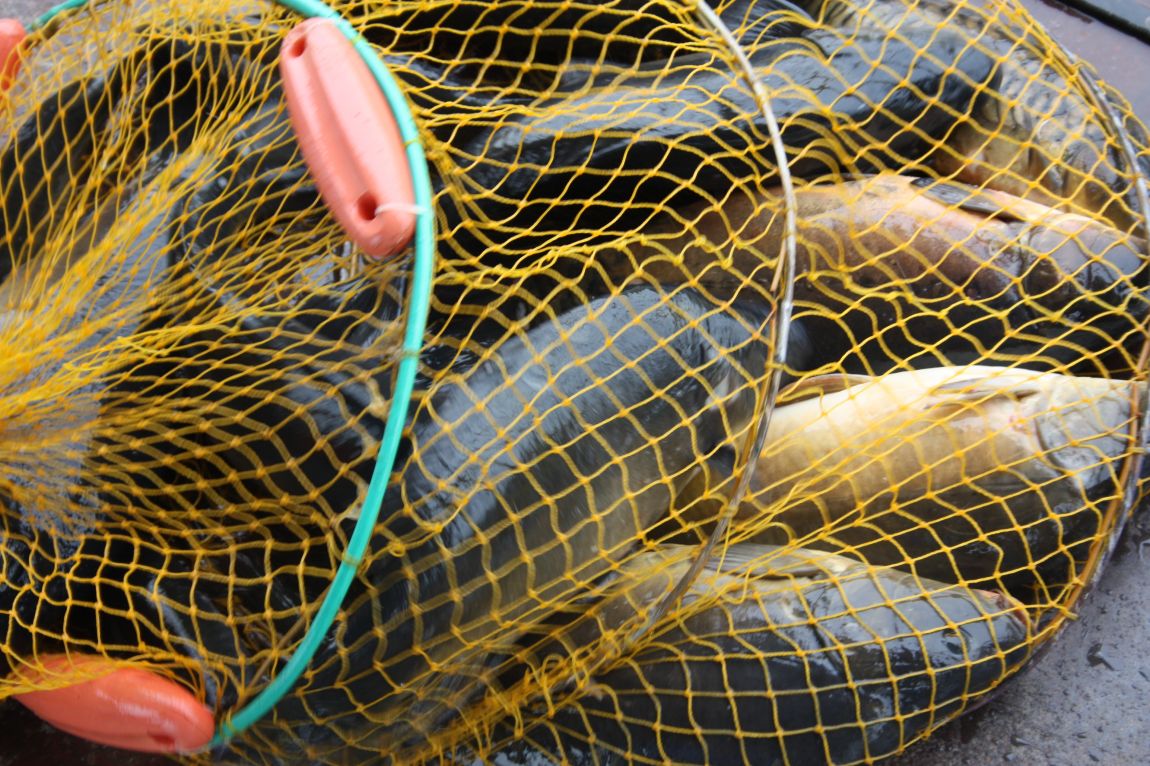 6��7�� 250.JPG