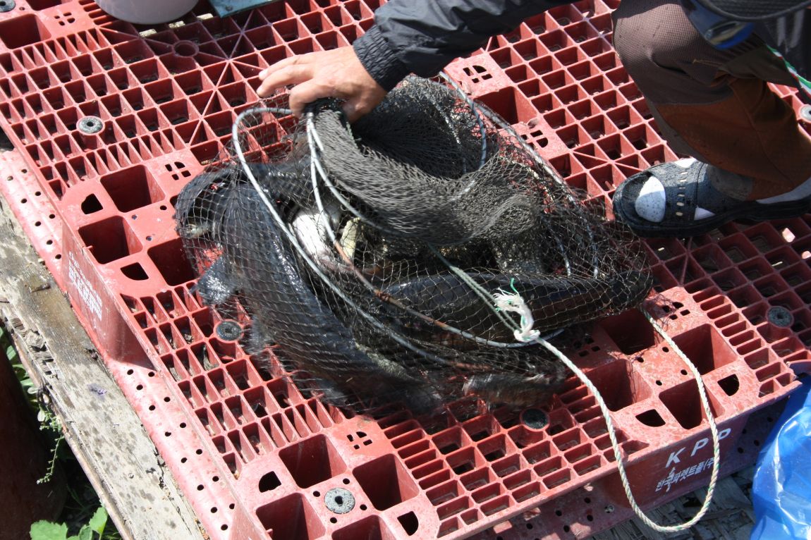 6��7�� 277.JPG