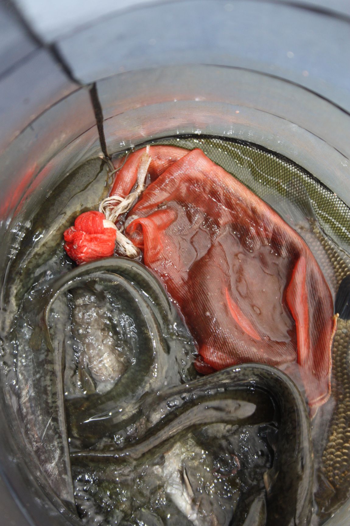 6��7�� 283.JPG