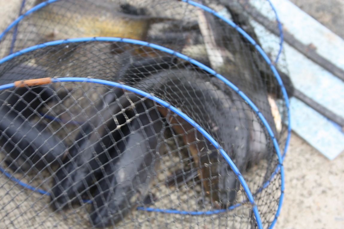 6��7�� 287.JPG