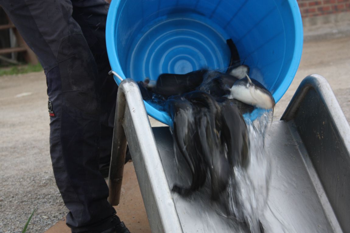 6��7�� 003.JPG