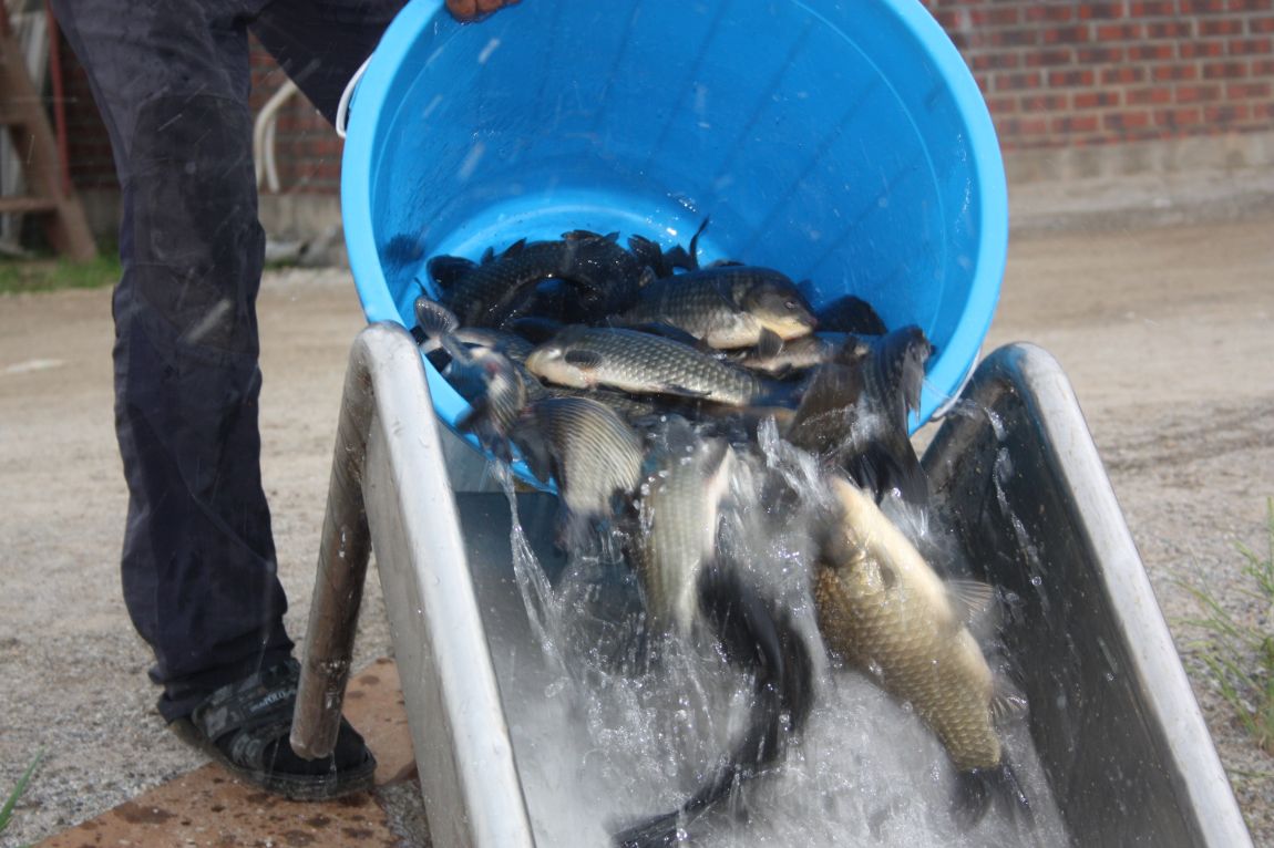 6��7�� 012.JPG