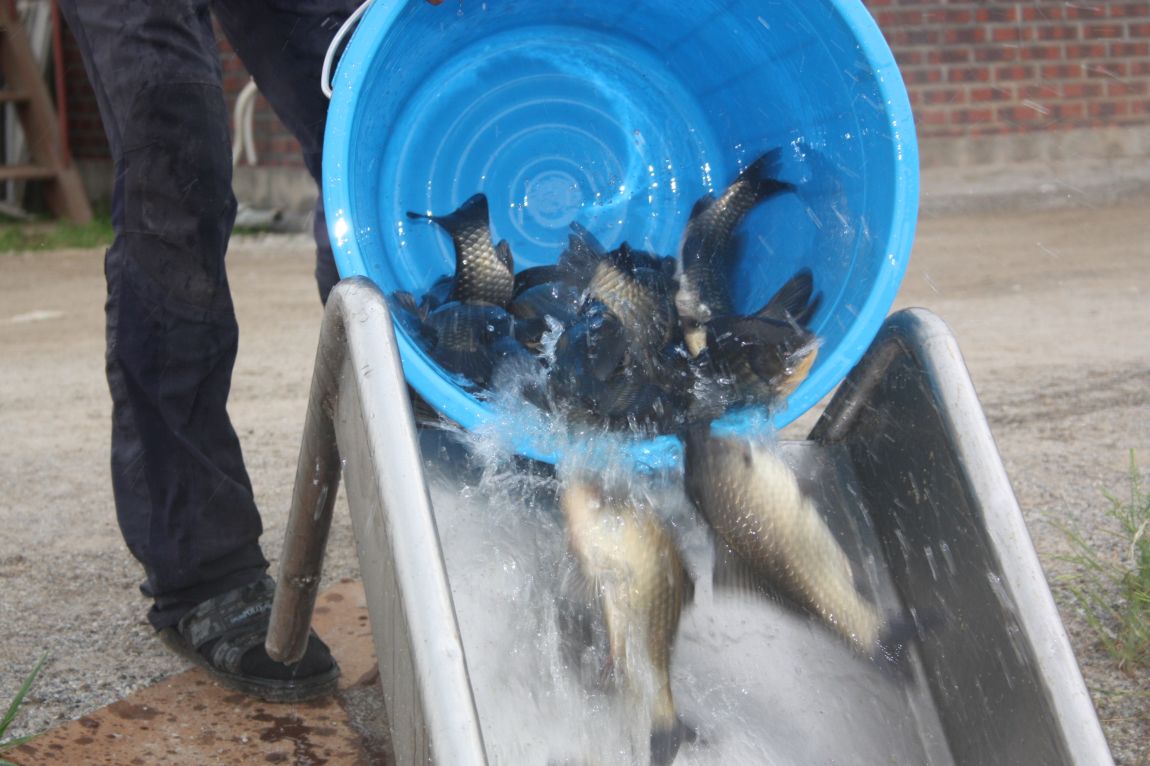 6��7�� 015.JPG