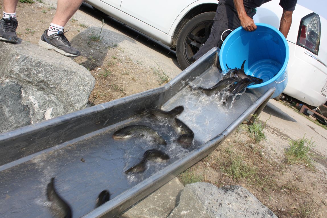 6��7�� 107.JPG