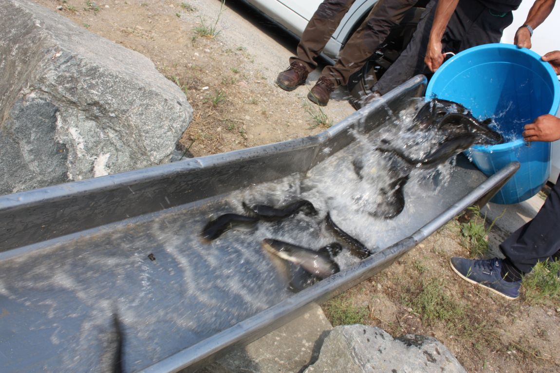 6��7�� 117.JPG