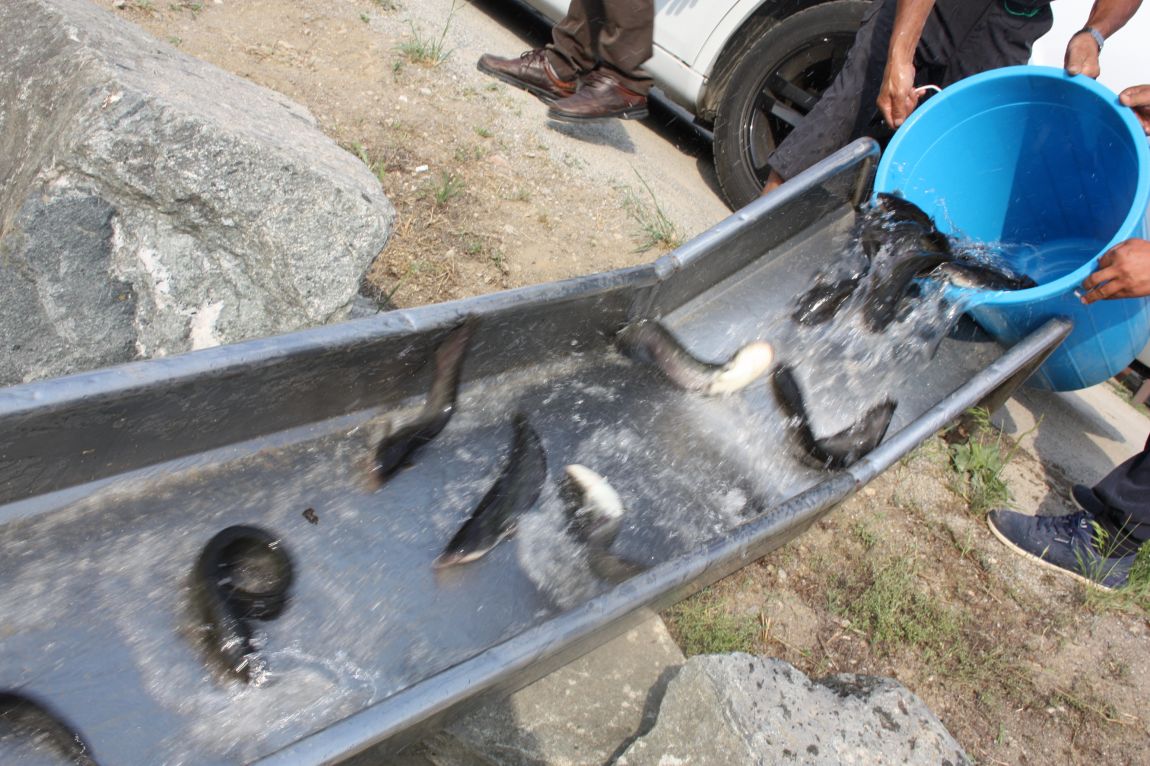 6��7�� 119.JPG