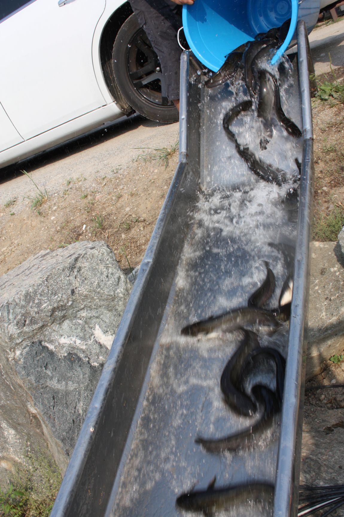 6��7�� 133.JPG