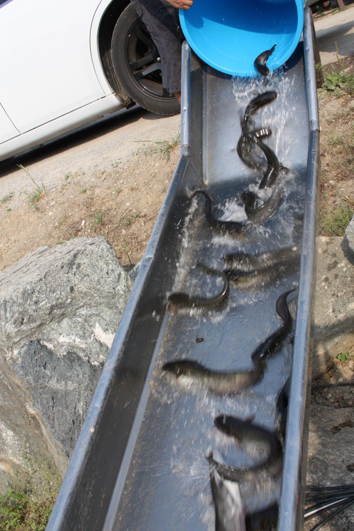 6��7�� 136.JPG