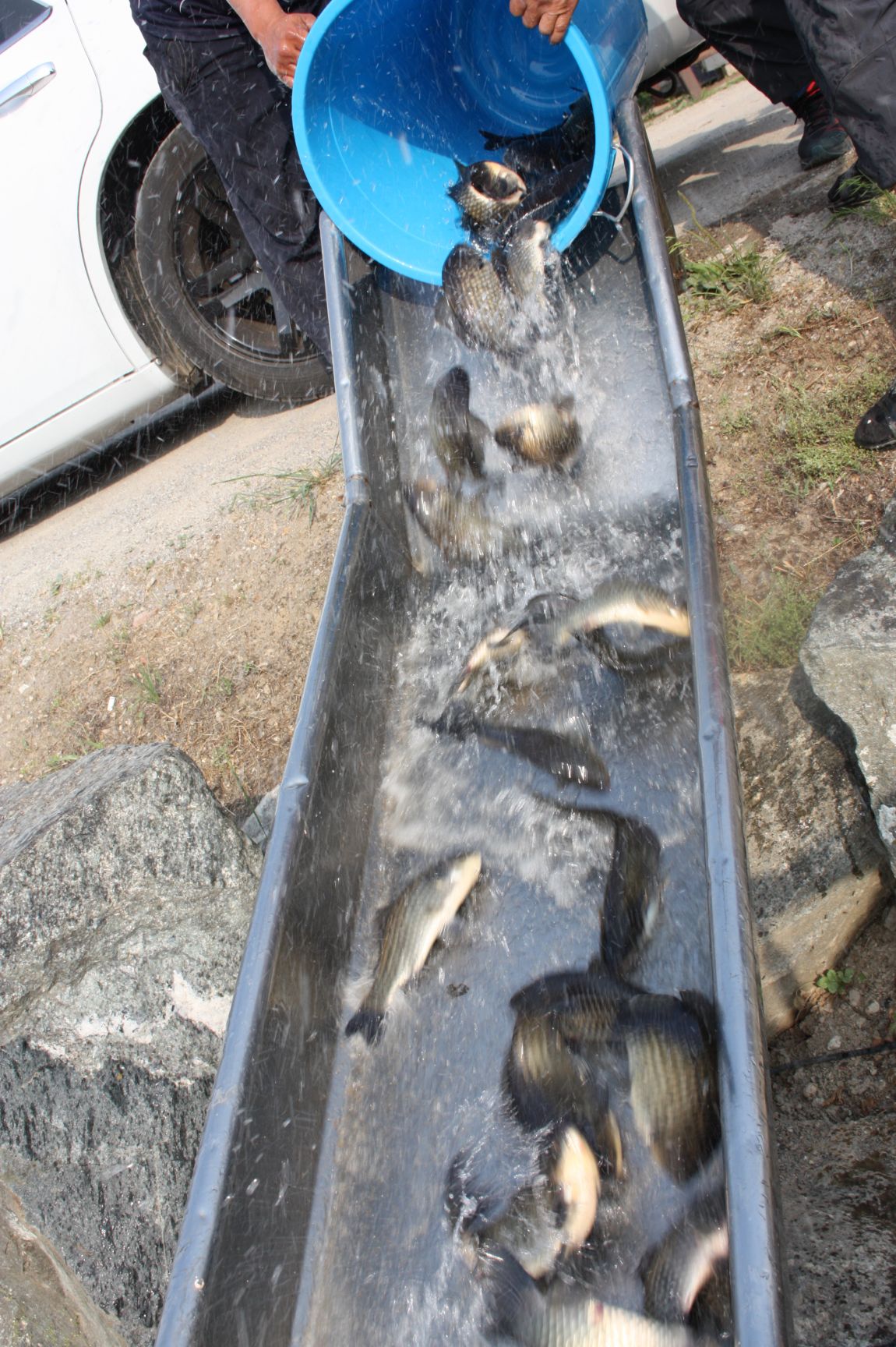 6��7�� 148.JPG