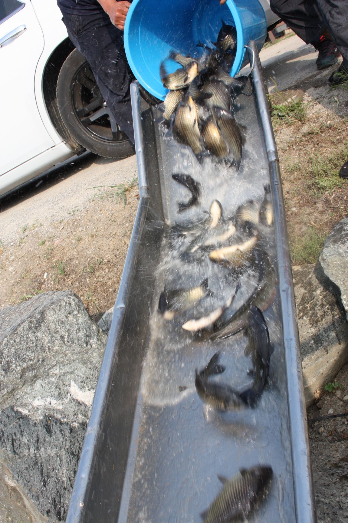 6��7�� 146.JPG