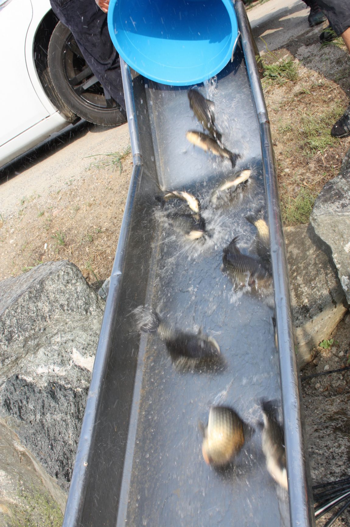 6��7�� 149.JPG